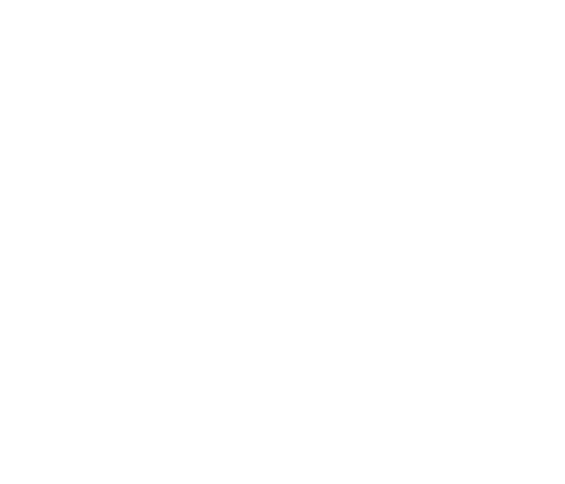 TI Developer
